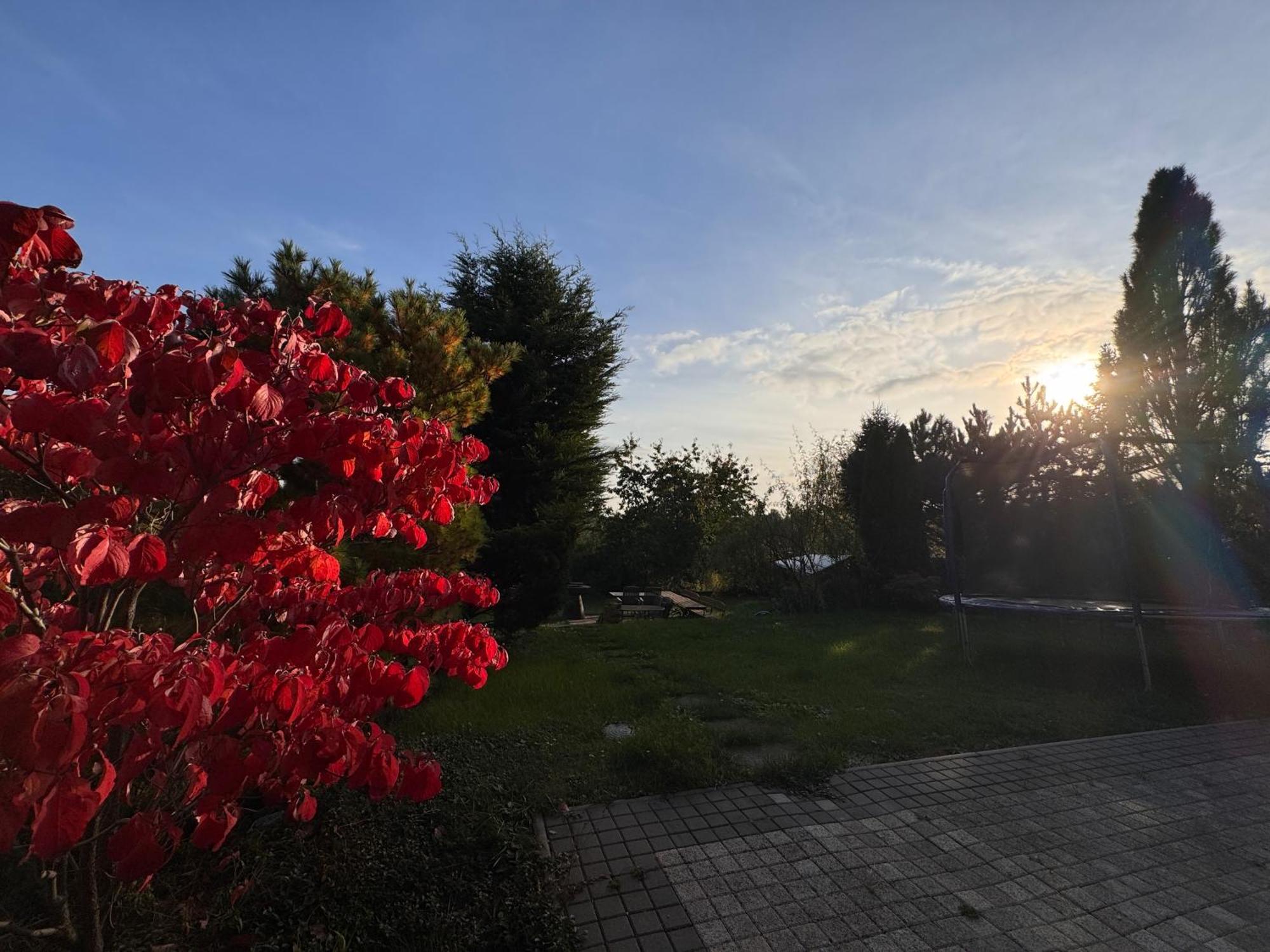 Diamondvilla, 4 Bedroom Apartment, Garden & Lejlighed *